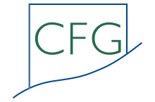 Conseil Formation Gestion – CFG : votre partenaire informatique de proximité